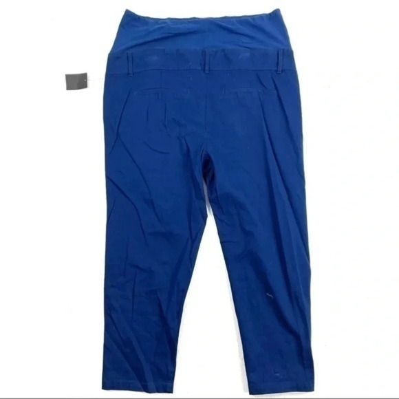 Tinsel Maternity Crop Pants Stitch Fix Over Belly - Picture 2 of 5